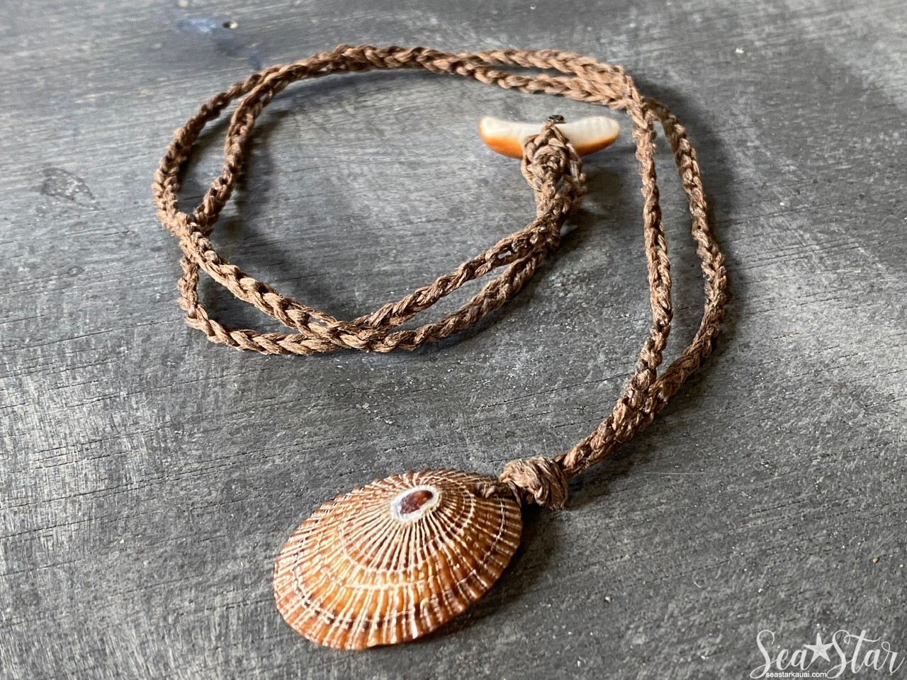 Large Opihi Shell Necklace (#0600) | IMG_0602.jpg