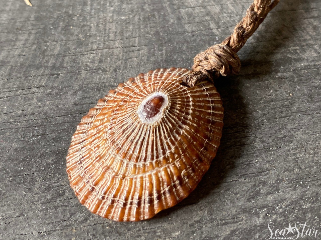 Large Opihi Shell Necklace (#0600) | IMG_0600.jpg