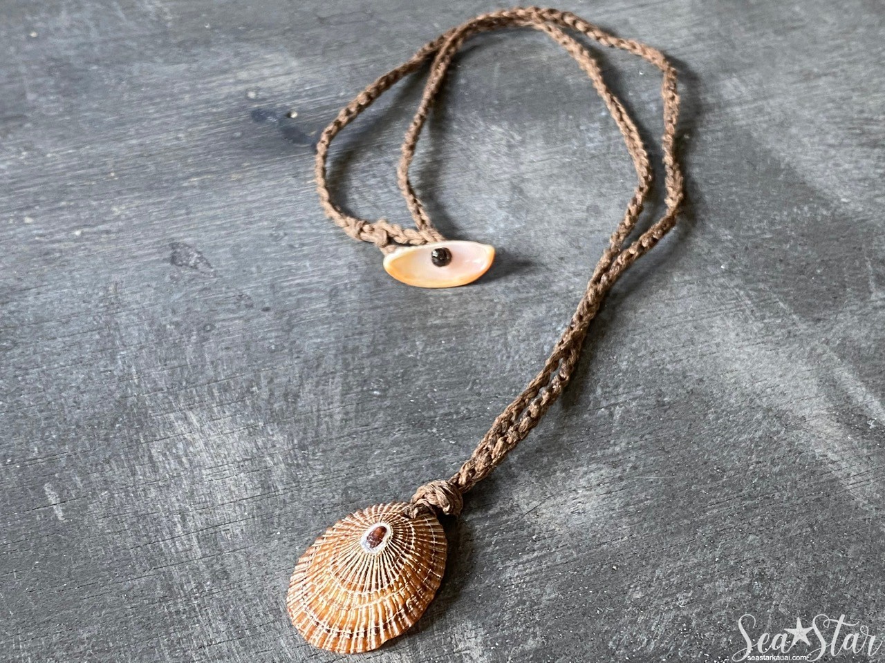 Large Opihi Shell Necklace (#0600) | IMG_0601.jpg