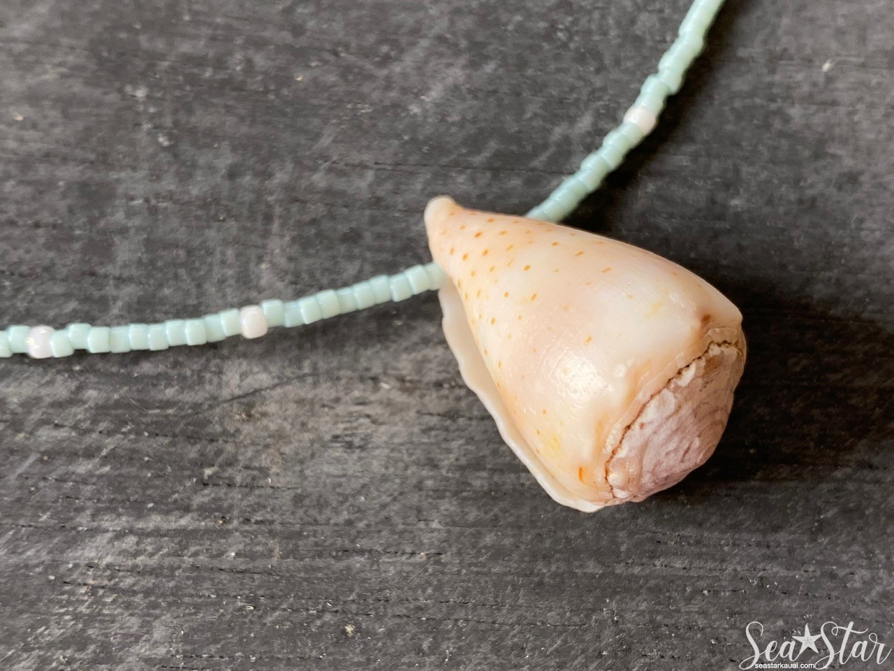 Cone Shell Necklace with Seed Beads (#0585) | IMG_0588.jpg