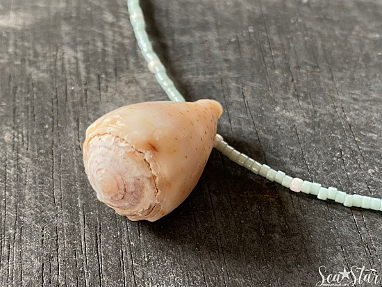 Cone Shell Necklace with Seed Beads (#0585)