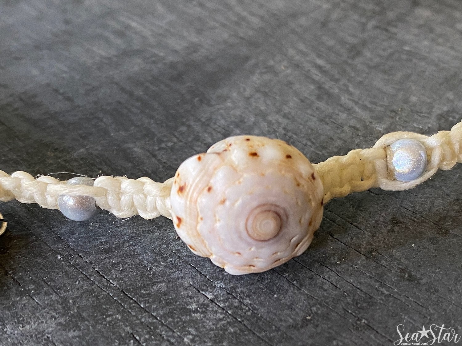 Puka Shell Choker Necklace (#0616) | IMG_0617.jpg