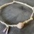 Puka Shell Choker Necklace (#0616) | IMG_0616.jpg