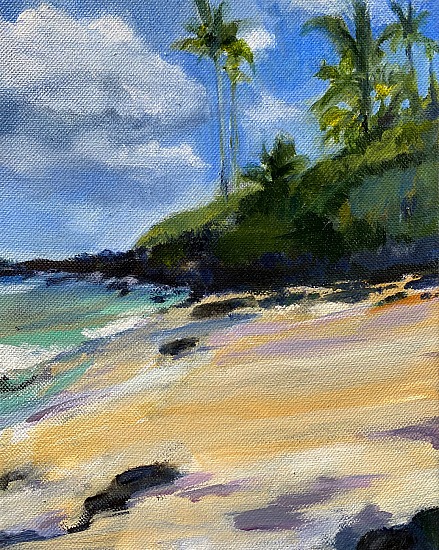 Princeville Hotel Beach