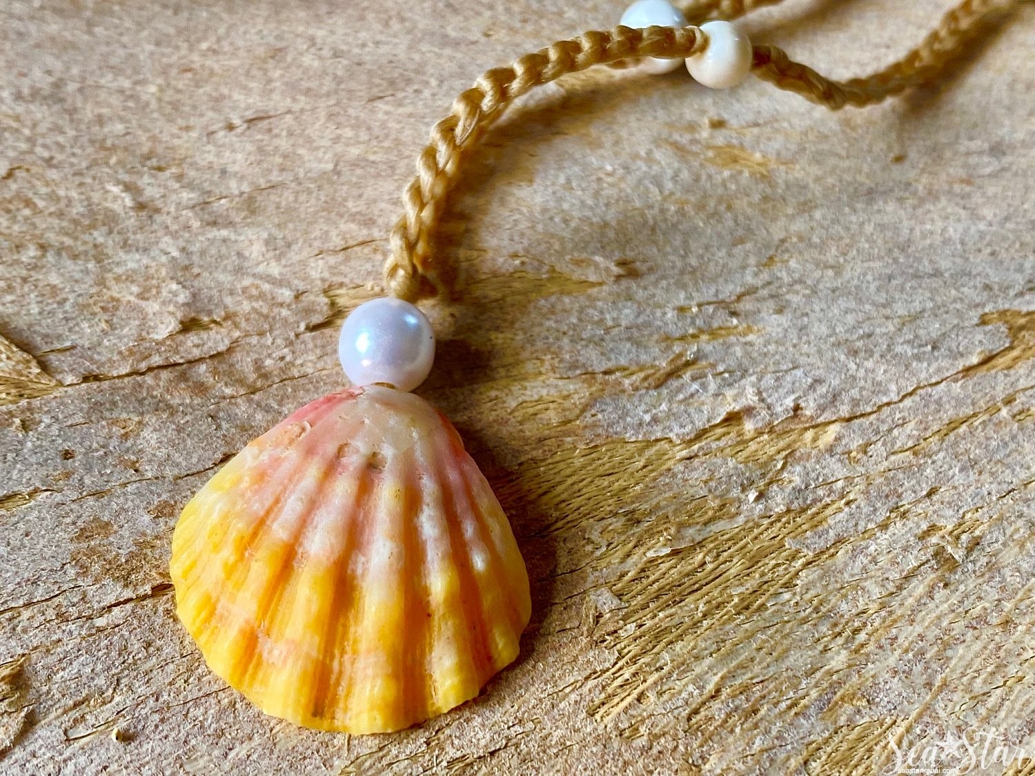 Sunrise Shell Anklet #6721 | 6721_sunriseShell_anklet_04.jpg