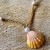 Sunrise Shell Anklet #6721 | 6721_sunriseShell_anklet_02.jpg